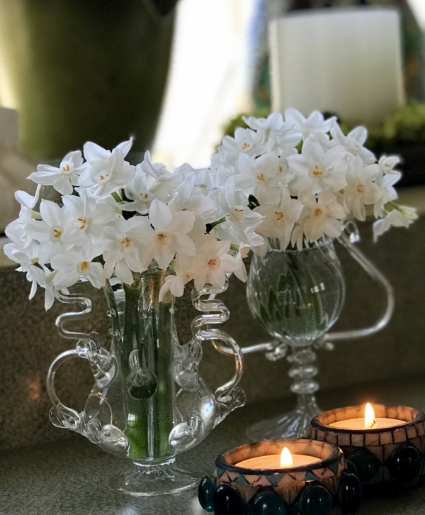 Paperwhites
